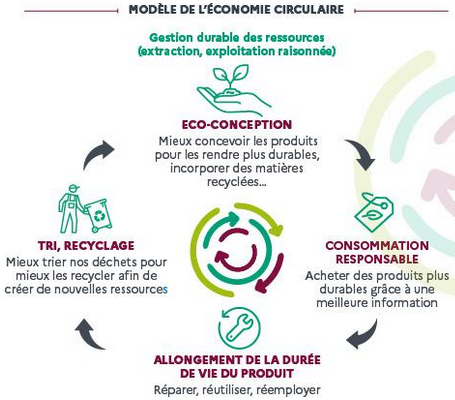 Les Enjeux de l’économie circulaire dans la conception et la fabrication de meuble